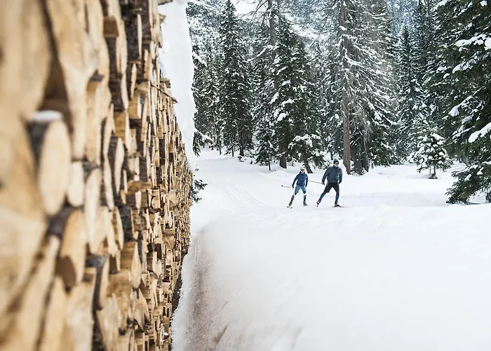 Ξενοδοχείο Christoph 3*